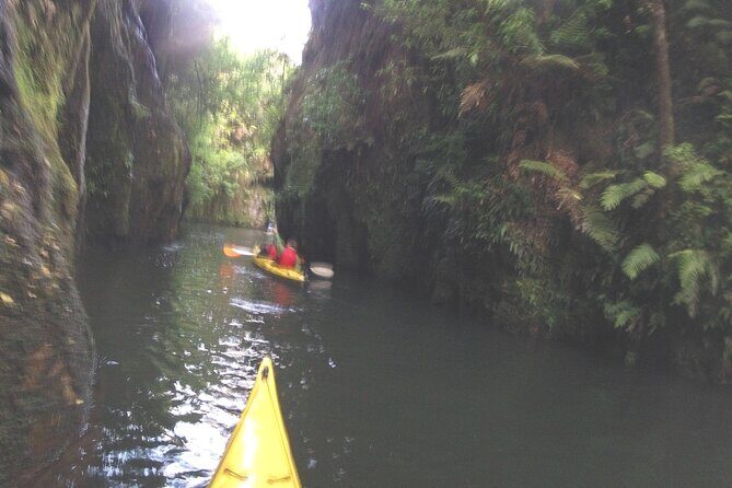 Glowworm Kayak Adventure on the Waikato River - The Practicalities: What to Expect