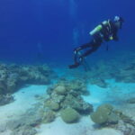 Goa: Grand Island Water Sports Combo Adventure - The Value of This Experience