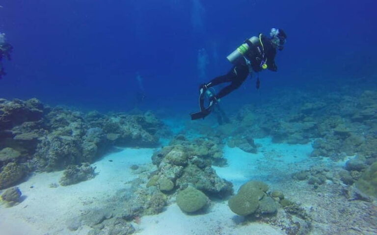 Goa: Grand Island Water Sports Combo Adventure - The Value of This Experience