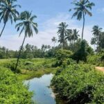 Goa: Harvalem Waterfall & Spice Plantation Join Tour - Practical Tips for Travelers