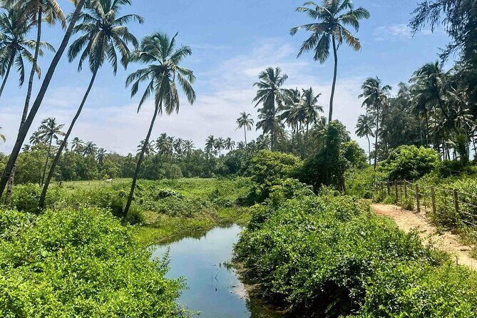 Goa: Harvalem Waterfall & Spice Plantation Join Tour - Practical Tips for Travelers