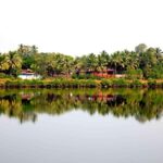 Goa: Harvalem Waterfall & Spice Plantation Tour - Practical Details and Experience Quality