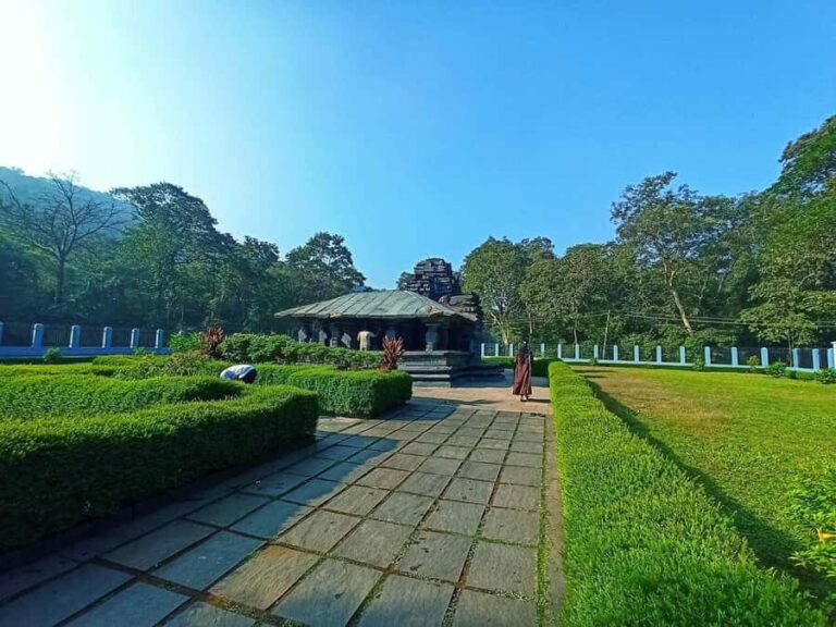 Goa: Harvalem Waterfall & Spice Plantation Tour - Aromatic Spice Plantation Experience