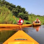 Goa Kayaking : Backwaters and Mangrove Kayaking Experience - What Makes This Experience Special?