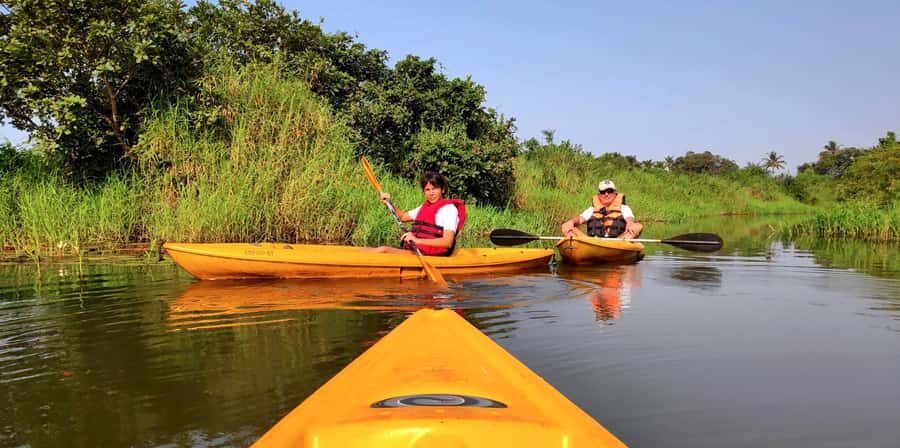 Goa Kayaking : Backwaters and Mangrove Kayaking Experience - What Makes This Experience Special?