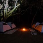 Goa :Overnight Camping, BBQ, Dinner, Night Trek, & Breakfast - Exploring the Forest: The Night Trek