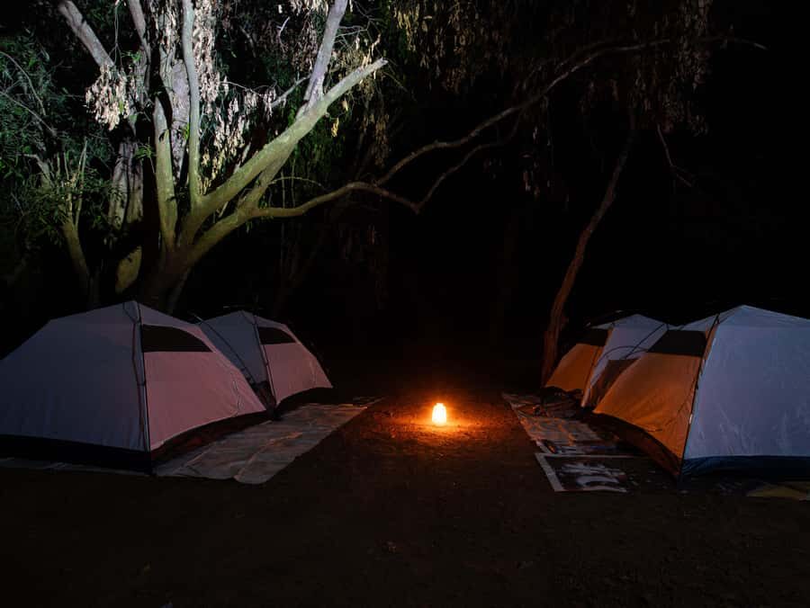 Goa :Overnight Camping, BBQ, Dinner, Night Trek, & Breakfast - Exploring the Forest: The Night Trek