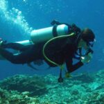 Goa: Scuba Diving & 5 Watersports at Paradise Beach - Real Traveler Insights