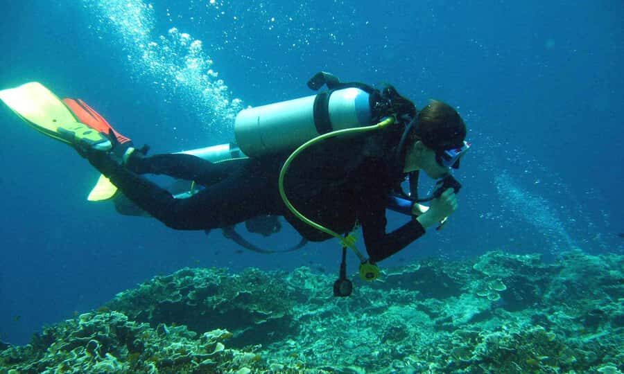 Goa: Scuba Diving & 5 Watersports at Paradise Beach - Real Traveler Insights
