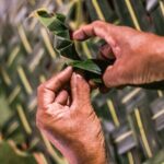 Goan Night Food Dance and Handicrafts - Final Thoughts