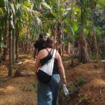 Goan Village Life Tour - Value and Practical Insights