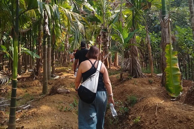 Goan Village Life Tour - Value and Practical Insights