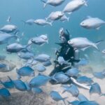 Goat Island Experience Guided Shore Dive - Itinerary Breakdown