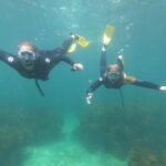 Goat Island Guided Snorkelling Tour For Advanced - What Sets this Tour Apart?
