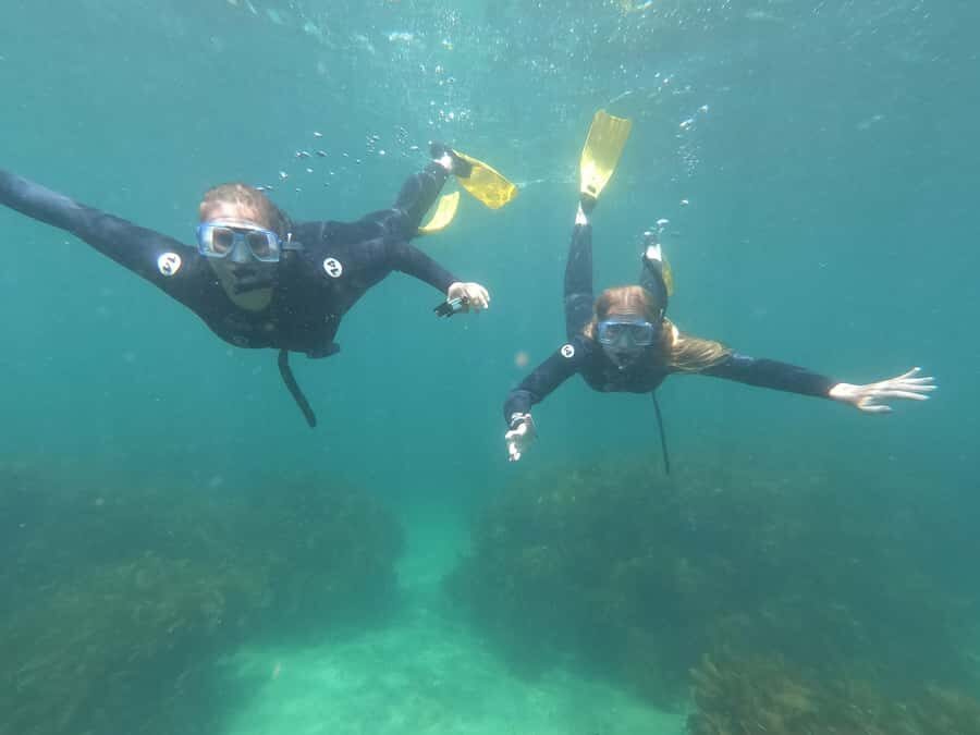 Goat Island Guided Snorkelling Tour For Advanced - What Sets this Tour Apart?