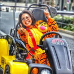 GoKart Tokyo: Oldtown Tour |8 Tour Destinations in 100 mins - The Experience & Itinerary Breakdown