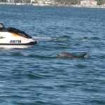 Gold Coast: 30 min Jet Ski Hire - No Slow Zones - Authentic Feedback and Insights