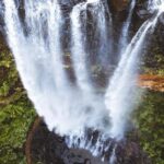 Gold Coast: 6 Waterfalls, Koalas & Natural Bridge Day Tour - Who Will Love This Tour?