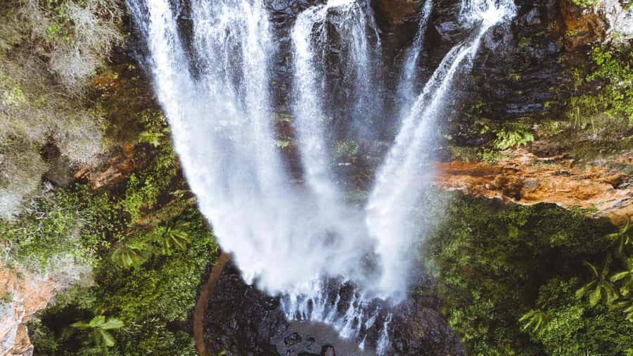 Gold Coast: 6 Waterfalls, Koalas & Natural Bridge Day Tour - Who Will Love This Tour?