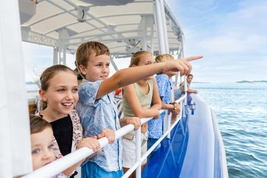 Gold Coast and Wavebreak Island Cultural Small Group Cruise - What Makes This Tour Stand Out?