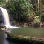 Gold Coast: Koalas, Glow Worms & Kangaroos Nature Experience - The Itinerary in Detail