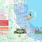 Gold Coast Private Customize One Day Tour - The Itinerary Breakdown