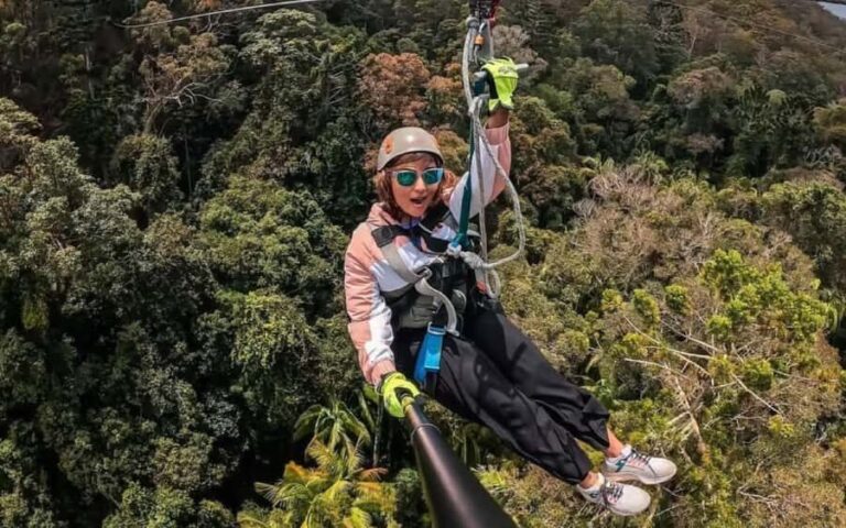Gold Coast: Tamborine Mountain Canyon Flyer Zipline Tour - What Makes This Zipline Experience Special?