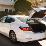 Gold Coast to Byron Bay scenic One Way Transfer - Authentic Insights from Customer Feedback