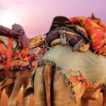 Golden City Of Rajasthan, Jaisalmer Desert Tour (02 Days) - Gadsisar Lake and Jain Temples: Serenity and Sculpture