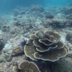 Golden Horizon of Krabi: 4 Islands & Phra Nang Sunset - Visiting Koh Poda: The jewel of Krabi’s beaches