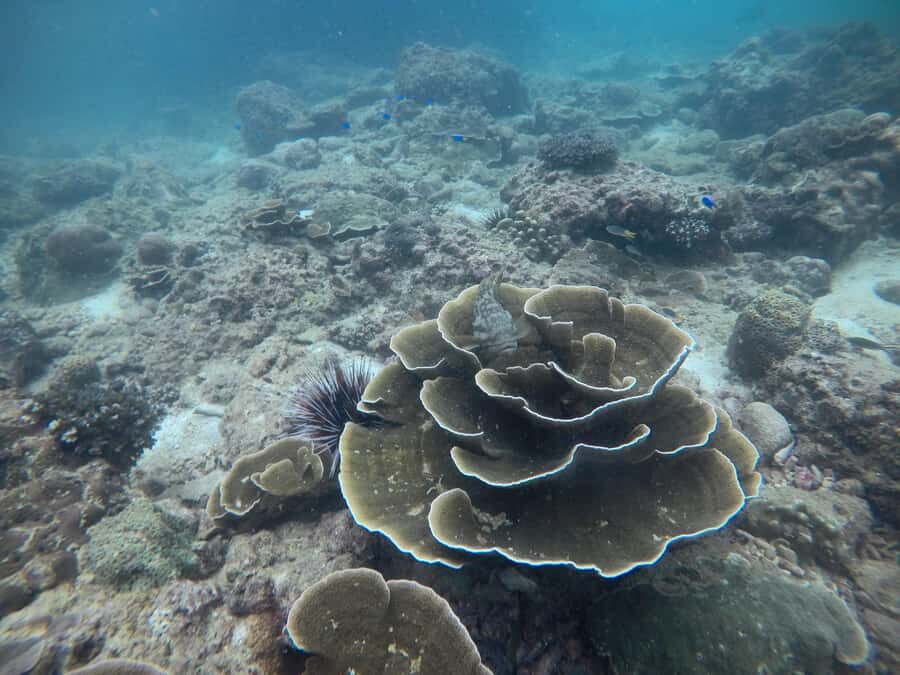 Golden Horizon of Krabi: 4 Islands & Phra Nang Sunset - Visiting Koh Poda: The jewel of Krabi’s beaches