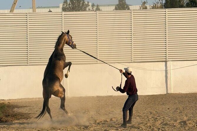 Golden Sands and Fiery Nights 3 Days Across Turkmenistan - Authentic Insights from Past Travelers