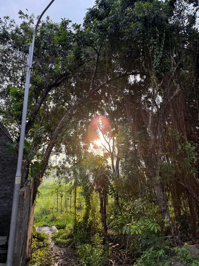 Golden Time Adventure: Sunrise Experience in Yogyakarta - Transport and Group Dynamics