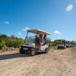 Golf Cart Eco Tour Half Day Tour - Who Should Consider This Tour?
