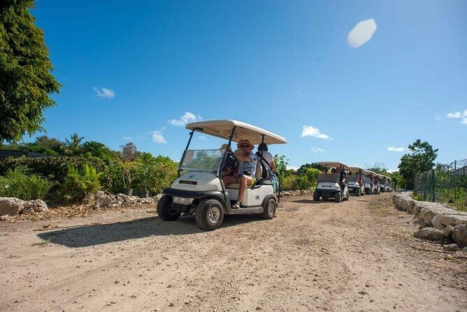 Golf Cart Eco Tour Half Day Tour - Who Should Consider This Tour?
