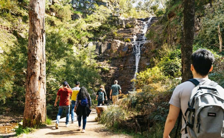 Grampians National Park Small-Group Eco Day Tour - The Price and Overall Value  