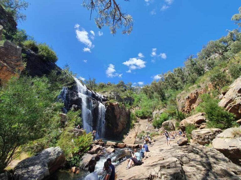 Grampians Small-Group Hiking & Wildlife Eco Experience - What Makes This Tour Stand Out?
