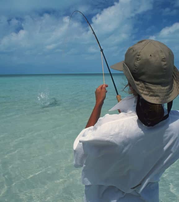 Grand Bahama Island: Bottom Fishing Excursion - Price & Value
