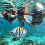 Grand Cayman 2 in 1 Combo Adventure: Stingrays & Reef Snorkeling - What’s Included & What’s Not