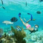Grand Cayman 3-Stop Snorkel Adventure: Stingray City & Reefs Tour - Practical Details