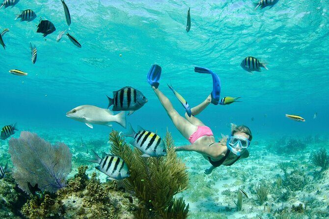 Grand Cayman 3-Stop Snorkel Adventure: Stingray City & Reefs Tour - Practical Details