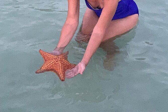 Grand Cayman - Bioluminescent Bay Tour - The Authenticity and Value of the Tour