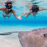 Grand Cayman Stingray City Sandbar Adventure - Detailed Review of the Experience