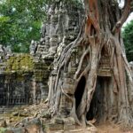 Grand Circuit Temple Tour(Preah Khan, Neak Pean,Ta Som &Pre Rup ) - Transportation and Timing