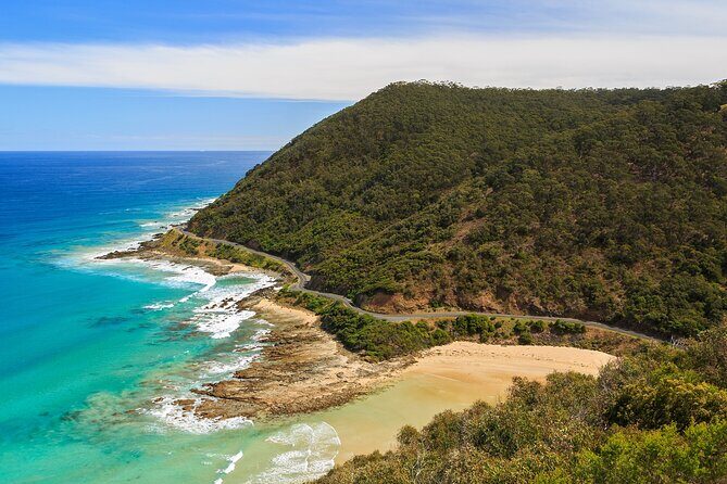 Great Ocean Road In 8 Hours Express Private Tour - What We Loved About the Experience