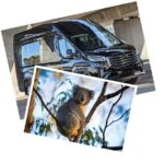 Great Ocean Road Tour Reverse SML GRP-DLUX Mini Bus Hotel Pickup - Final Thoughts