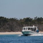 Great Sandy Straits Seven Island Ultimate Wildlife Cruise - The Experience in Detail