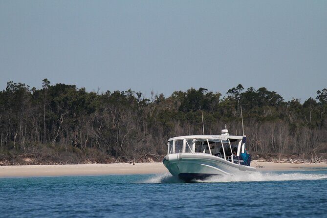 Great Sandy Straits Seven Island Ultimate Wildlife Cruise - The Experience in Detail