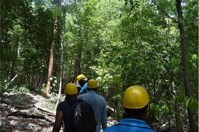 Green Grotto Cave Private Tour - Authentic Experiences and Real Travel Insights