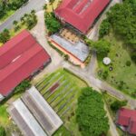 Grenada Day Tour-Concord Falls, Chocolate, Rum & Grand Etang Lake - Who Would Love This Tour?